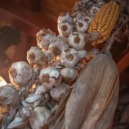 Grzin * Mošćenička Draga