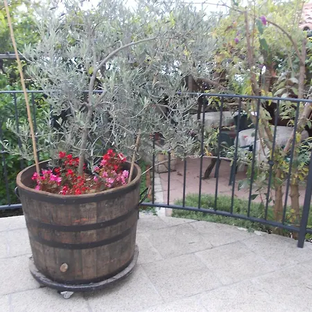 Grzin * Mošćenička Draga